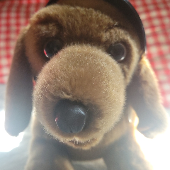 Harley Davidson Dachshund Dog with Helmet - Picture 2 of 6